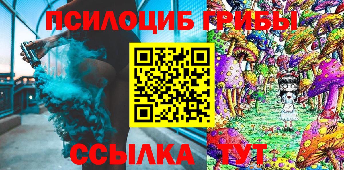 Янаул  сколько стоит  Вход с VPN  Галлюциногенные грибы Psilocybe 