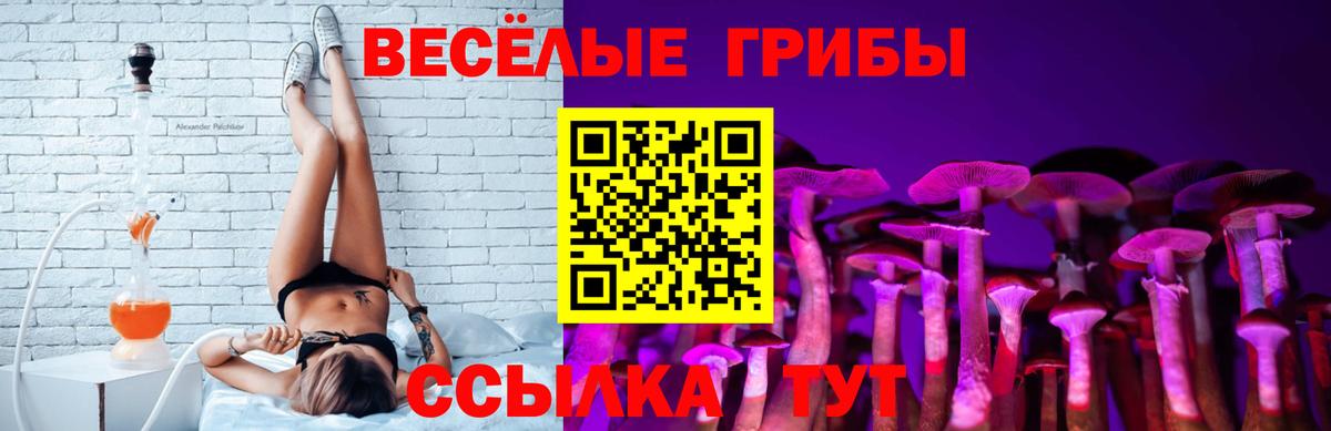 Псилоцибиновые грибы мицелий Янаул